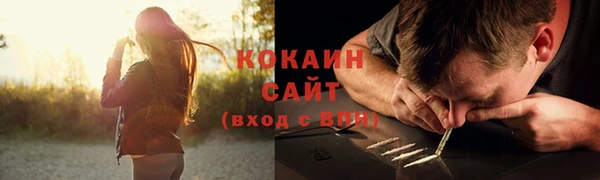 прущая мука Верея