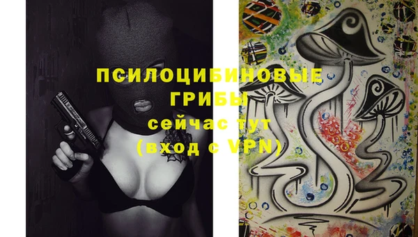 прущая мука Верея
