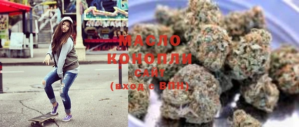 индика Володарск