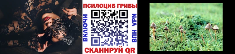 Галлюциногенные грибы прущие грибы  Купить  Пойковский 